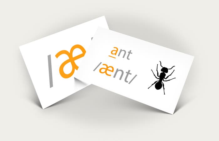 Two Phonetics Flashcards: the sound /æ/ and the word ant